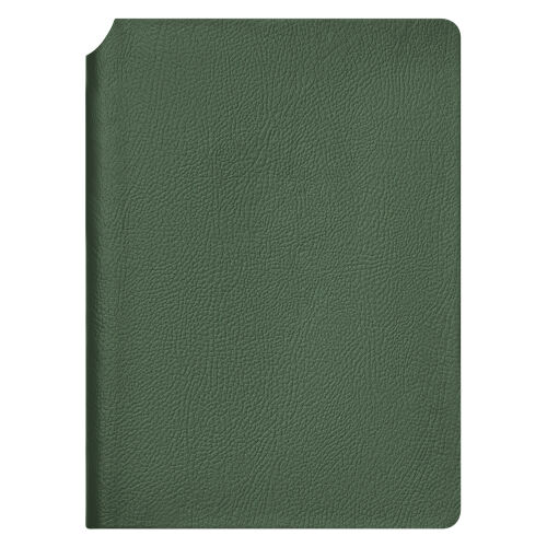 Ежедневник Молто (Molto) недатированный, зеленый (без упаковки,  3