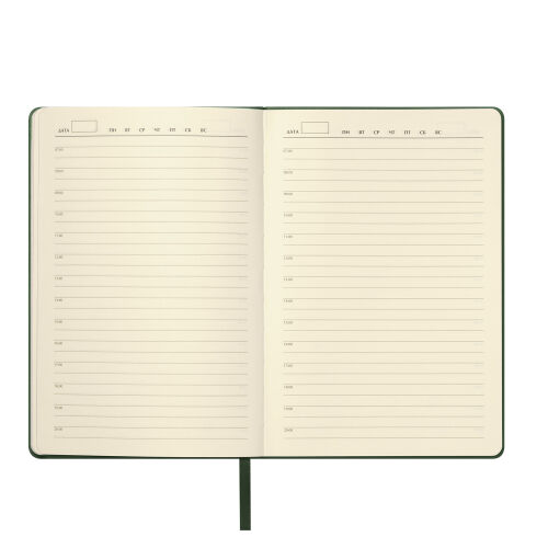 Ежедневник Молто (Molto) недатированный, зеленый (без упаковки,  7