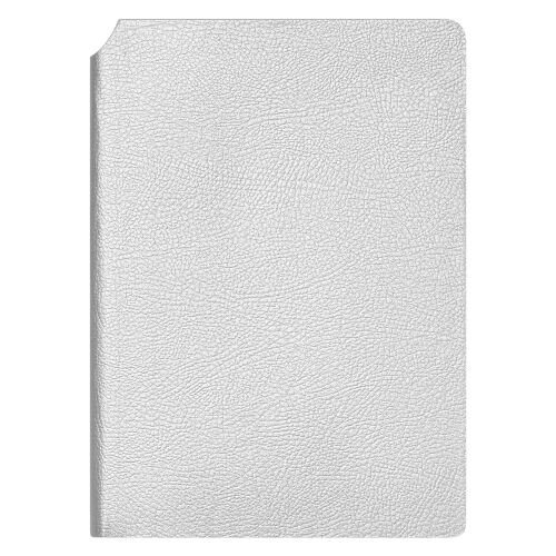 Ежедневник Молто (Molto) недатированный, серебряный (без упаковк 3