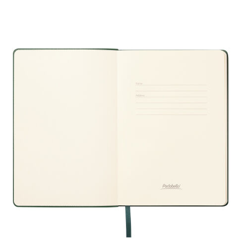 Ежедневник Верона (Verona) недатированный, зеленый (без упаковки 6