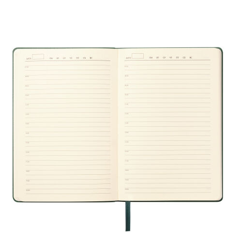 Ежедневник Верона (Verona) недатированный, зеленый (без упаковки 1