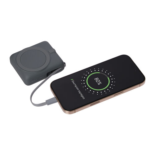 Внешний аккумулятор с подсветкой Ritter PD 10000mAh с функцией б 14