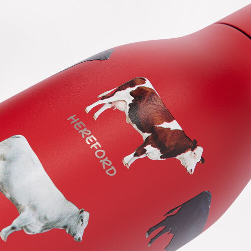 Термобутылка вакуумная герметичная Севилла, красная 5