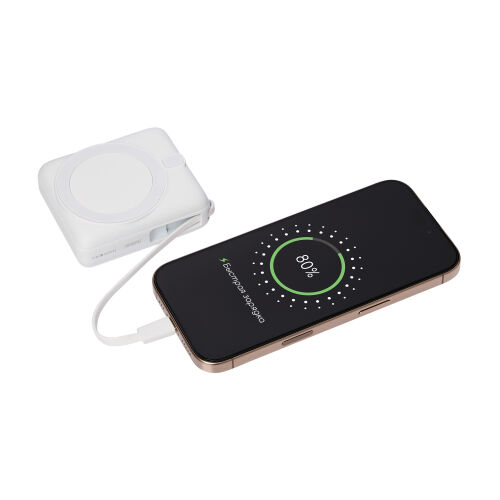 Внешний аккумулятор с подсветкой Ritter PD 10000mAh с функцией б 14