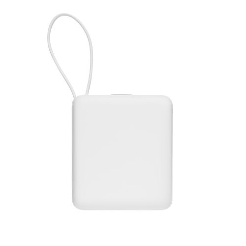 Внешний аккумулятор с подсветкой Ritter PD 10000mAh с функцией б 11