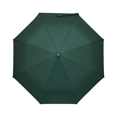 Зонт складной Passat, зеленый 1