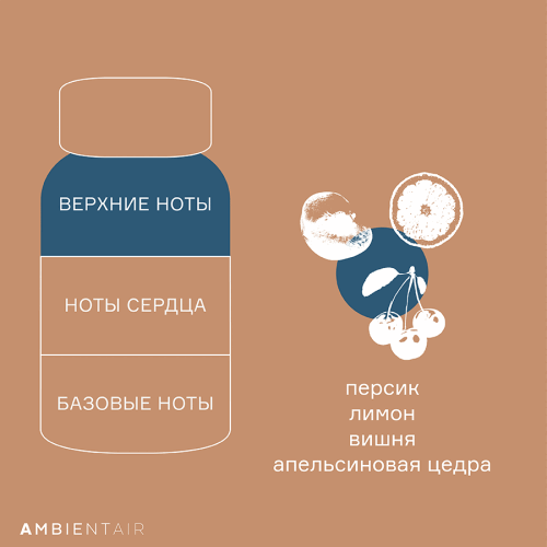 Диффузор ароматический gifting, bisquit&berries, 100 мл 5