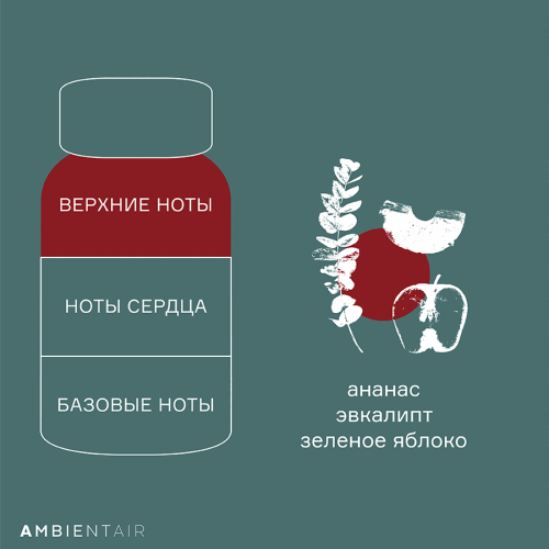 Диффузор ароматический gifting, cinnamon&apple, 100 мл 5