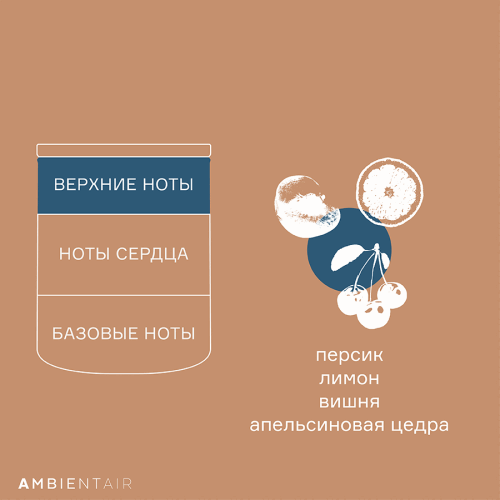 Свеча ароматическая gifting, bisquit&berries, 40 ч 6