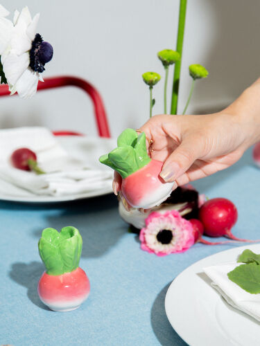 Набор из солонки и перечницы radish 3