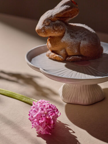 Блюдо сервировочное eden из коллекции blossom, 25х10см 5