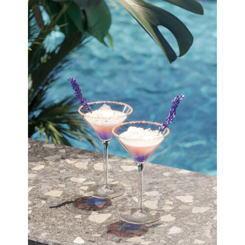 Бокал из тритана grace для мартини и коктейлей, 250 мл 4