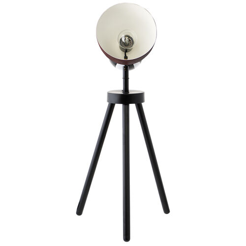 Светильник настольный anniken, D20х58 см, сливовый 3