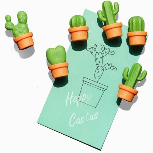 Набор магнитов cactus, 6 шт. 7