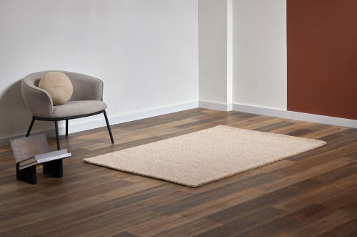 Ковер из шерсти salem бежевого цвета из коллекции ethnic, 60x90  2