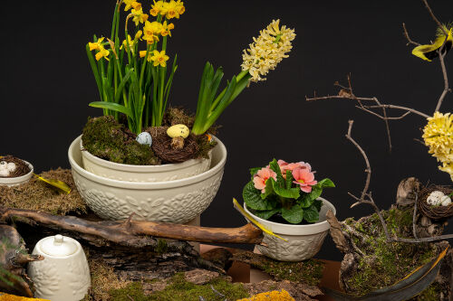 Миска для смешивания birds of paradise, 1,5 л, кремовая 1