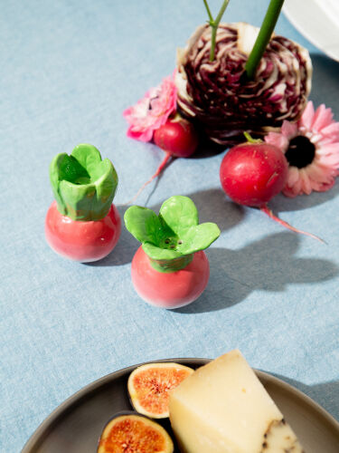 Набор из солонки и перечницы radish 4