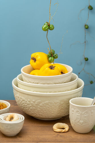 Миска для смешивания birds of paradise, 2,6 л, кремовая 4