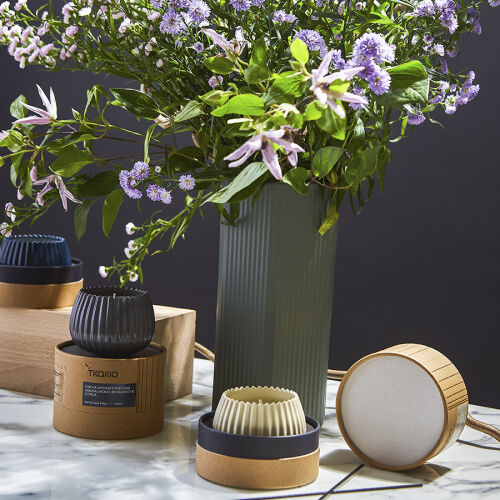 Свеча ароматическая vetiver & black cypress из коллекции edge, б 1 Свеча ароматическая vetiver & black cypress из коллекции edge, б 1