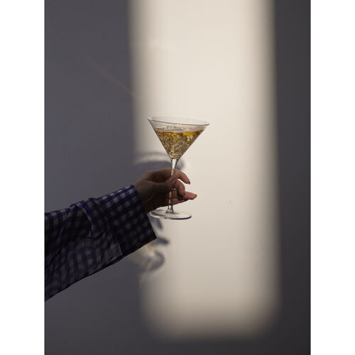 Бокал из тритана grace для мартини и коктейлей, 250 мл 1