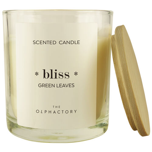 Свеча ароматическая the olphactory, bliss, green rhubarb, 40 ч 1 Свеча ароматическая the olphactory, bliss, green rhubarb, 40 ч 1