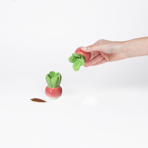 Набор из солонки и перечницы radish 6
