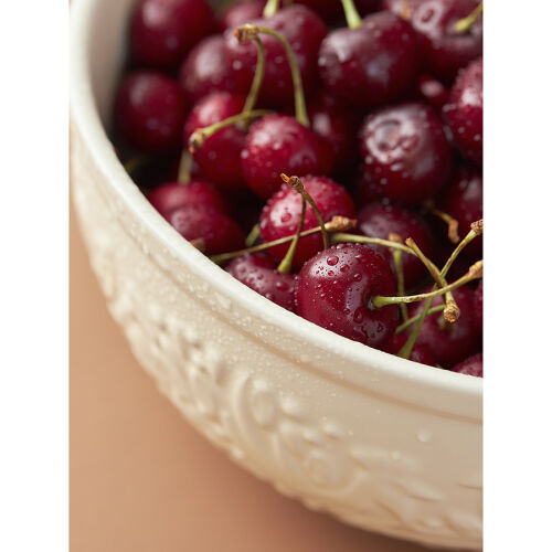 Миска для смешивания birds of paradise, 2,6 л, кремовая 5