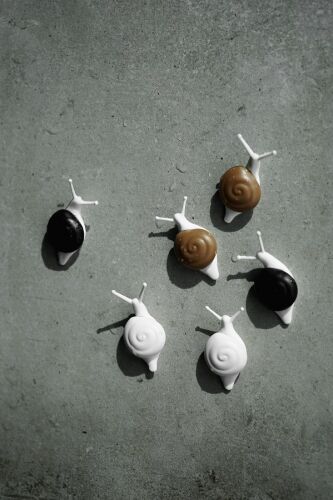 Набор магнитов snail, 6 шт. 4 Набор магнитов snail, 6 шт. 4