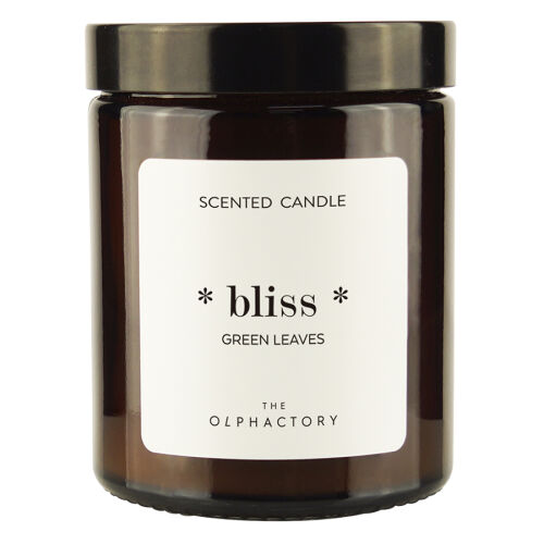 Свеча ароматическая the olphactory, bliss, green rhubarb, 30 ч 1