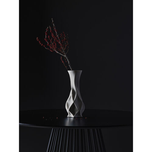 Ваза для сухоцветов printed art, curve, 32 см 3 Ваза для сухоцветов printed art, curve, 32 см 3