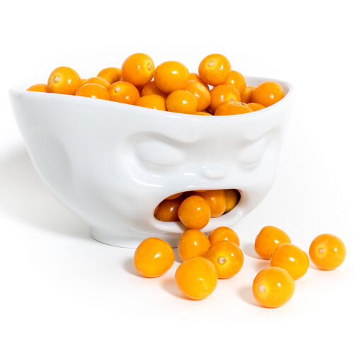 Чаша barfing, 1 л, белая 5 Чаша barfing, 1 л, белая 5