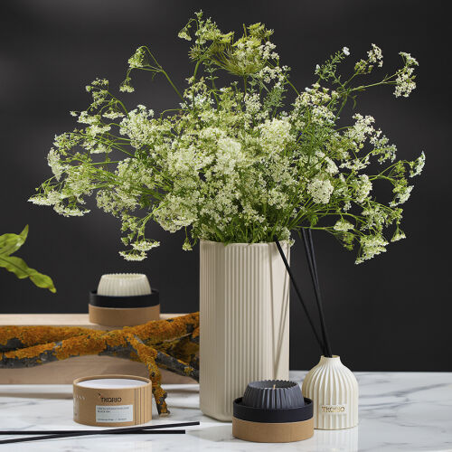 Свеча ароматическая italian cypress из коллекции edge, серый, 30 2 Свеча ароматическая italian cypress из коллекции edge, серый, 30 2