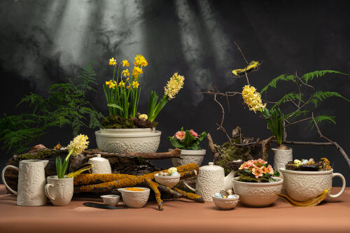 Кувшин birds of paradise, 980 мл, кремовый 2