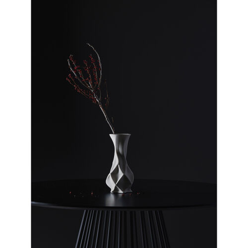Ваза для сухоцветов printed art, curve, 25 см 3 Ваза для сухоцветов printed art, curve, 25 см 3
