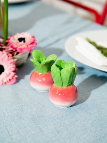 Набор из солонки и перечницы radish 1