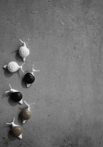 Набор магнитов snail, 6 шт. 3 Набор магнитов snail, 6 шт. 3