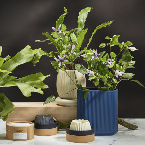 Свеча ароматическая vetiver & black cypress из коллекции edge, с 4 Свеча ароматическая vetiver & black cypress из коллекции edge, с 4
