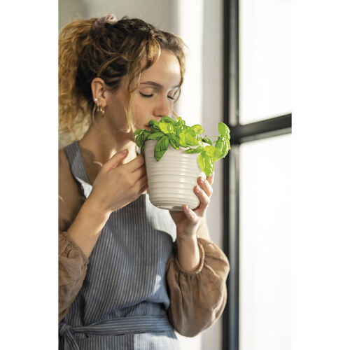 Кашпо для комнатных растений tierra, серо-бежевое 1