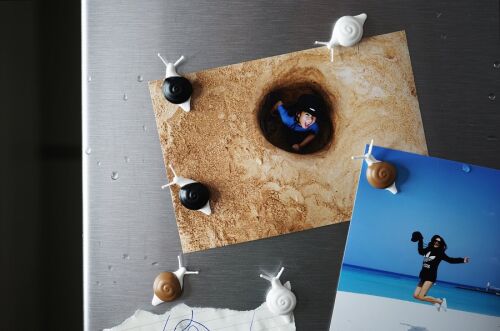 Набор магнитов snail, 6 шт. 5 Набор магнитов snail, 6 шт. 5