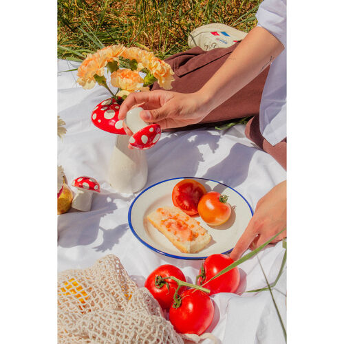 Набор из солонки и перечницы amanita 3 Набор из солонки и перечницы amanita 3