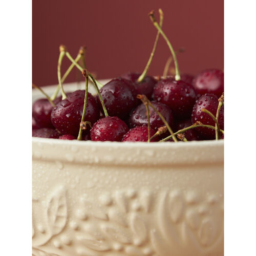 Миска для смешивания birds of paradise, 2,6 л, кремовая 4