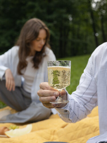 Набор бокалов из акрила arctic для вина, 280 мл, прозрачный, 4 ш 1