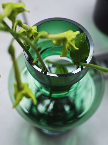 Ваза florum, 30 см, изумрудная 3