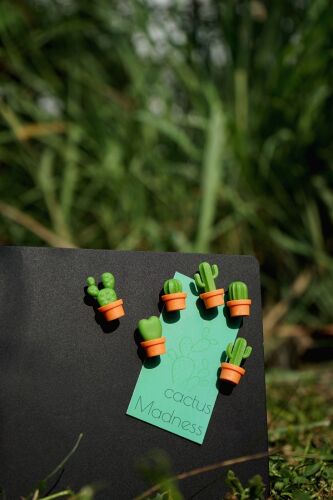 Набор магнитов cactus, 6 шт. 1