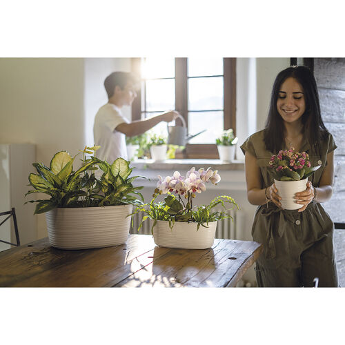 Кашпо для комнатных растений большое tierra, бежевое 6