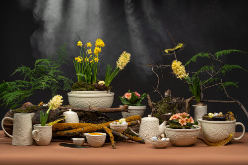 Кувшин для смешивания birds of paradise, 2,2 л, кремовый 2