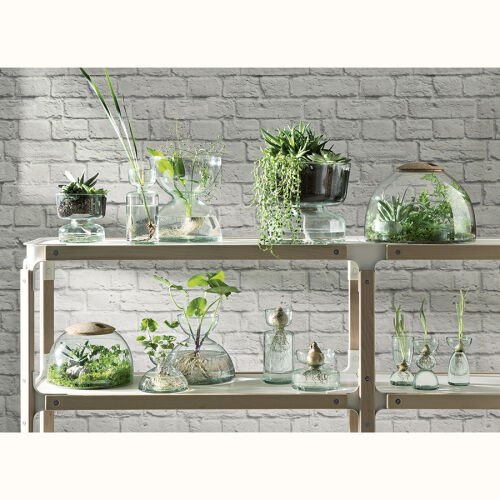 Ваза canopy, 10 см 4 Ваза canopy, 10 см 4