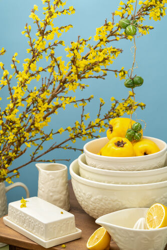 Масленка birds of paradise, кремовая 2