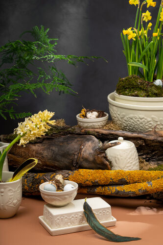 Масленка birds of paradise, кремовая 2