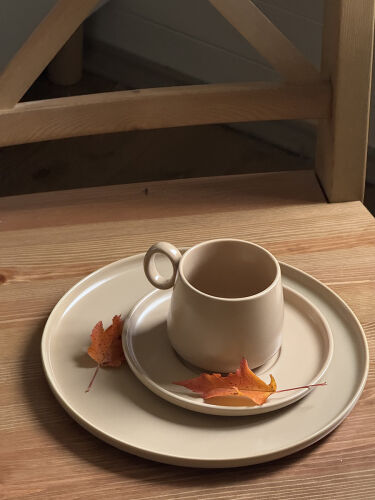 Набор из двух тарелок бежевого цвета из коллекции essential, 25  1